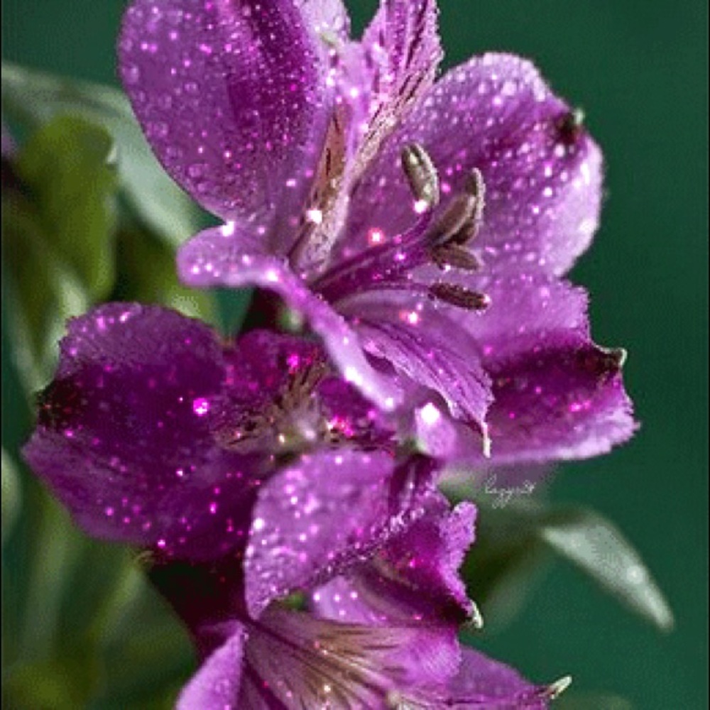 Meet your Posher, Kara